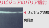 リピジュアのバリア機能