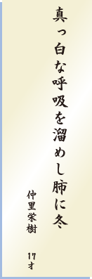 学生の部 優秀賞作品